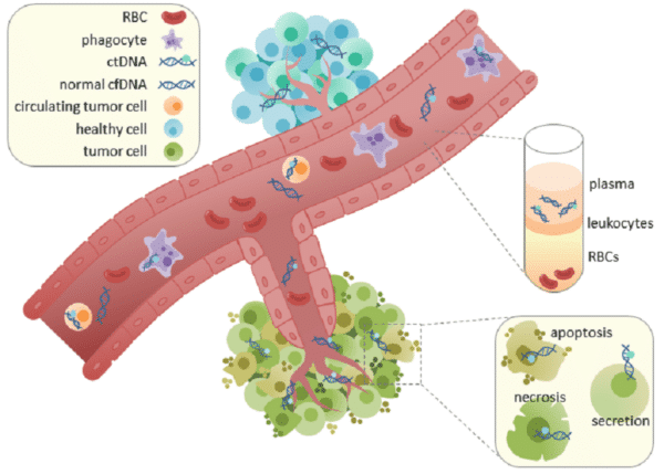 ctDNA may predict recurrence in stage I–III CRC
