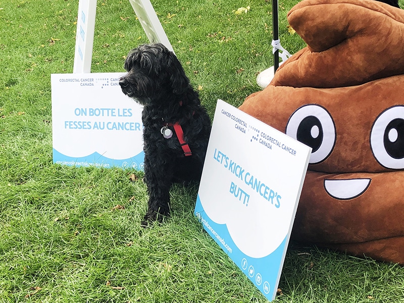 Processed with VSCO with preset Push for your tush signs with dog