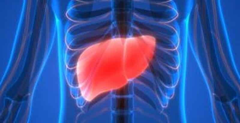 liver-mets-big liver-mets-big