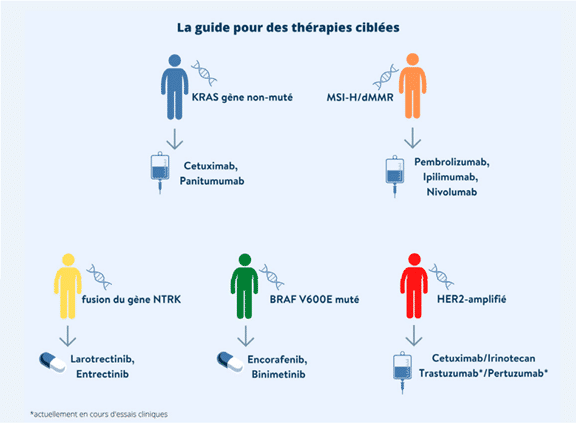 L’immunothérapie L’immunothérapie
