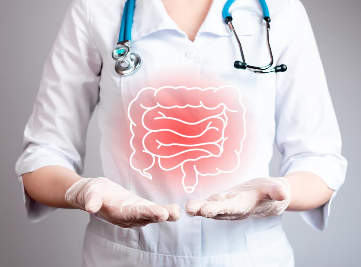 Intestine, bowel disease, medical problem. Gastrointestinal checkup concept Intestine, bowel disease, medical problem. Gastrointestinal checkup concept