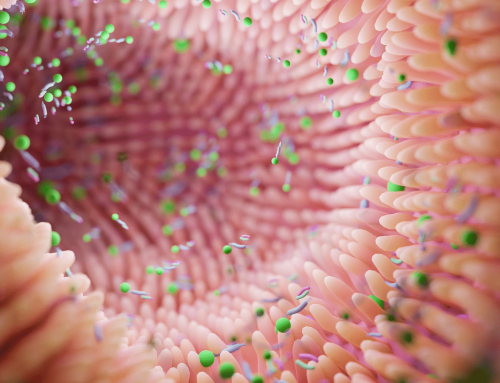 New study shows how the microbiome can impact the effectiveness of immunotherapy treatment