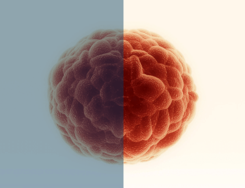 Hot vs. Cold Tumours: What’s the Difference?