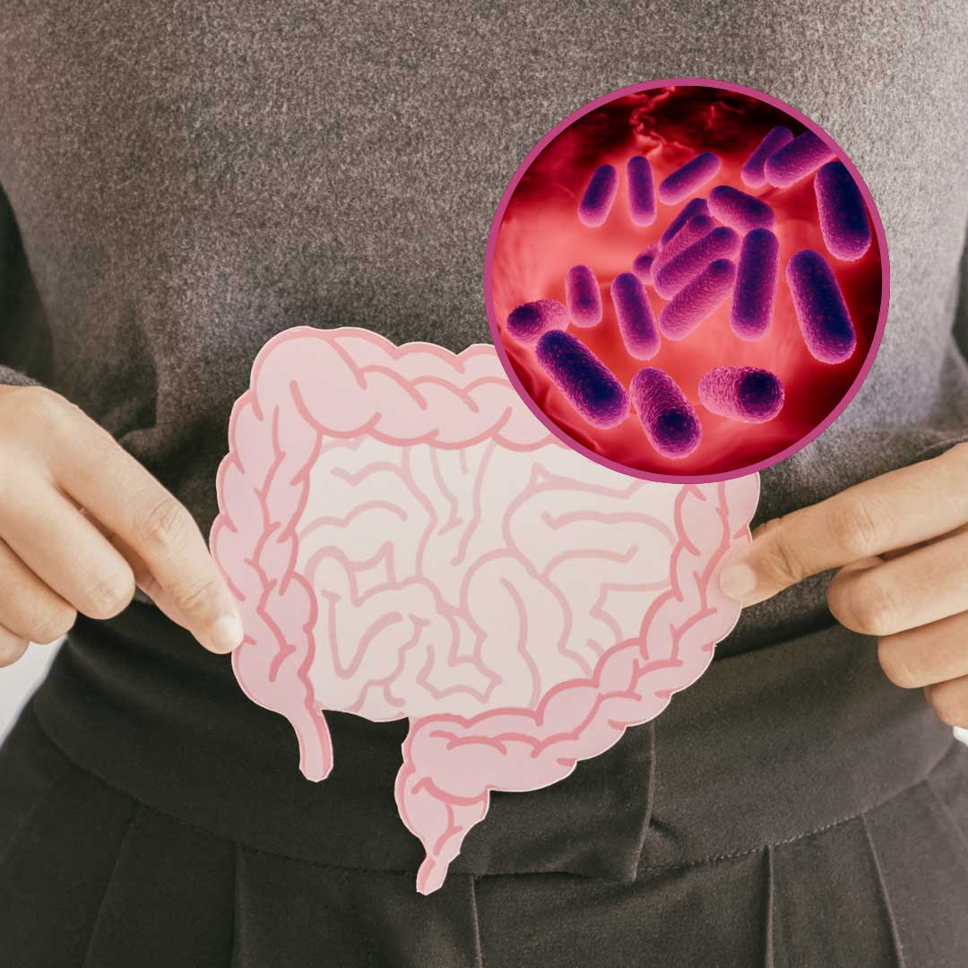 paper cut out of the gut held in front of a person's stomach with a magnified section of bacteria